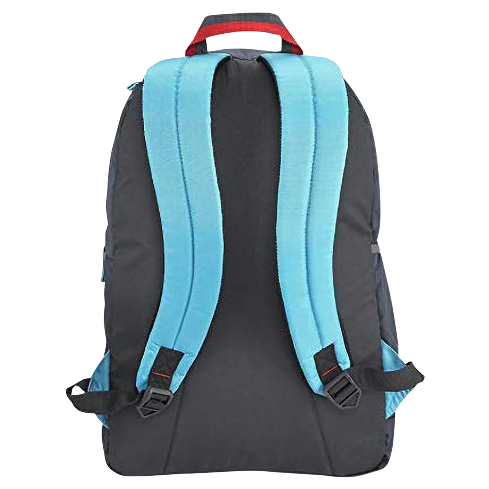 Buy Fastrack Scamper Ergolight Polyester Laptop Backpack For Inch